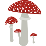 Mushrooms4