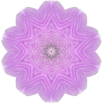 OrchidKaleidoscope9