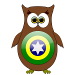 Owl Brazil superhero