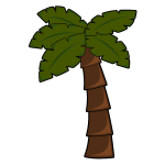 Palm tree vector image