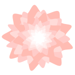 Pink Flower