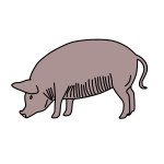 Pig 3