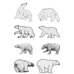 Polar bears