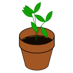 Vector image of simple plant in a terracotta pot