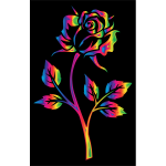 Rainbow Rose