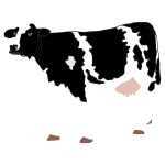 Cow drawing