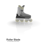 Vector illustration of color rollerblades with shadow