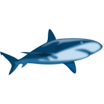 Shaded shark