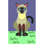 Siamese Cat