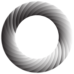 Swirly Torus 2