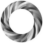 Swirly Torus