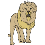 Lion illustration