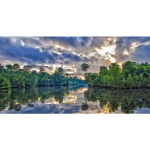 Surreal Indonesian Mangrove