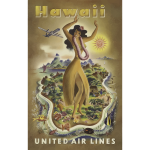 Hawaii poster