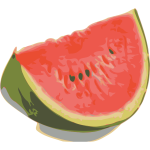 Watermelon 2015081341