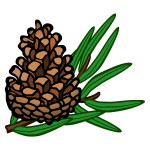 cone - coloured