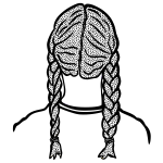 Braids image