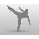 Vector drawing of karate man with leg up