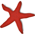 Vector graphics of red starfish