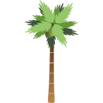 Palm Tree