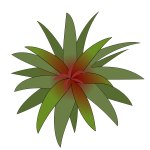 Bromelia leaves