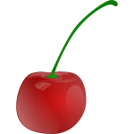 Photorealistic vector graphics of cherry