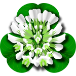 Clover Flower