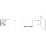 diffusion