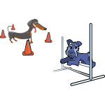 dog agility