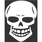 Skull human X-ray