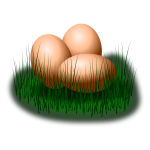 Eggs in grass vector image