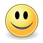 Smiley face icon vector image