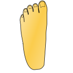 Foot left top down