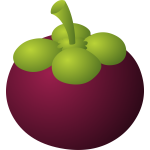 food mangosteen