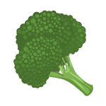 Green broccoli