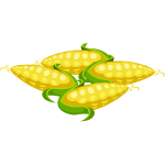 Corn cobs