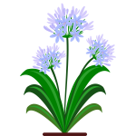 Blue flowers vector image