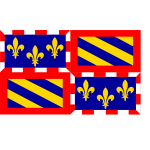 Burgundy region flag vector illustration