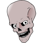 High forehead skull vector drawing