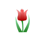 Tulip flower vector clip art