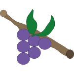 Grapes on branch