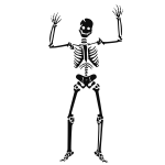 Scary human skeleton vector image