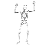 Vector clip art of scary skeleton