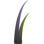 Vector drawing of purple and green llmenskie plant