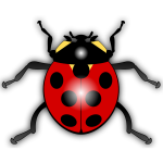 Ladybug