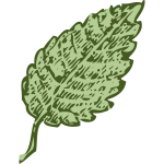 leaf 1