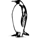 penguin