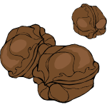 walnuts