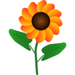 Sunflower plant