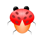 Large lady beetle